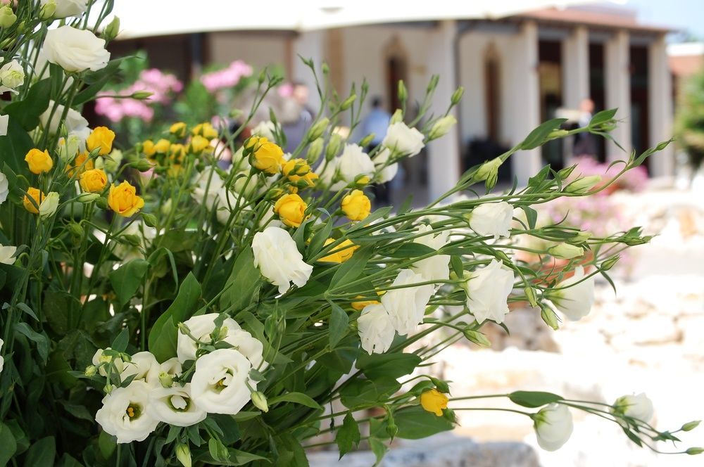 Masseria La Grande Quercia Hotel Mottola Buitenkant foto